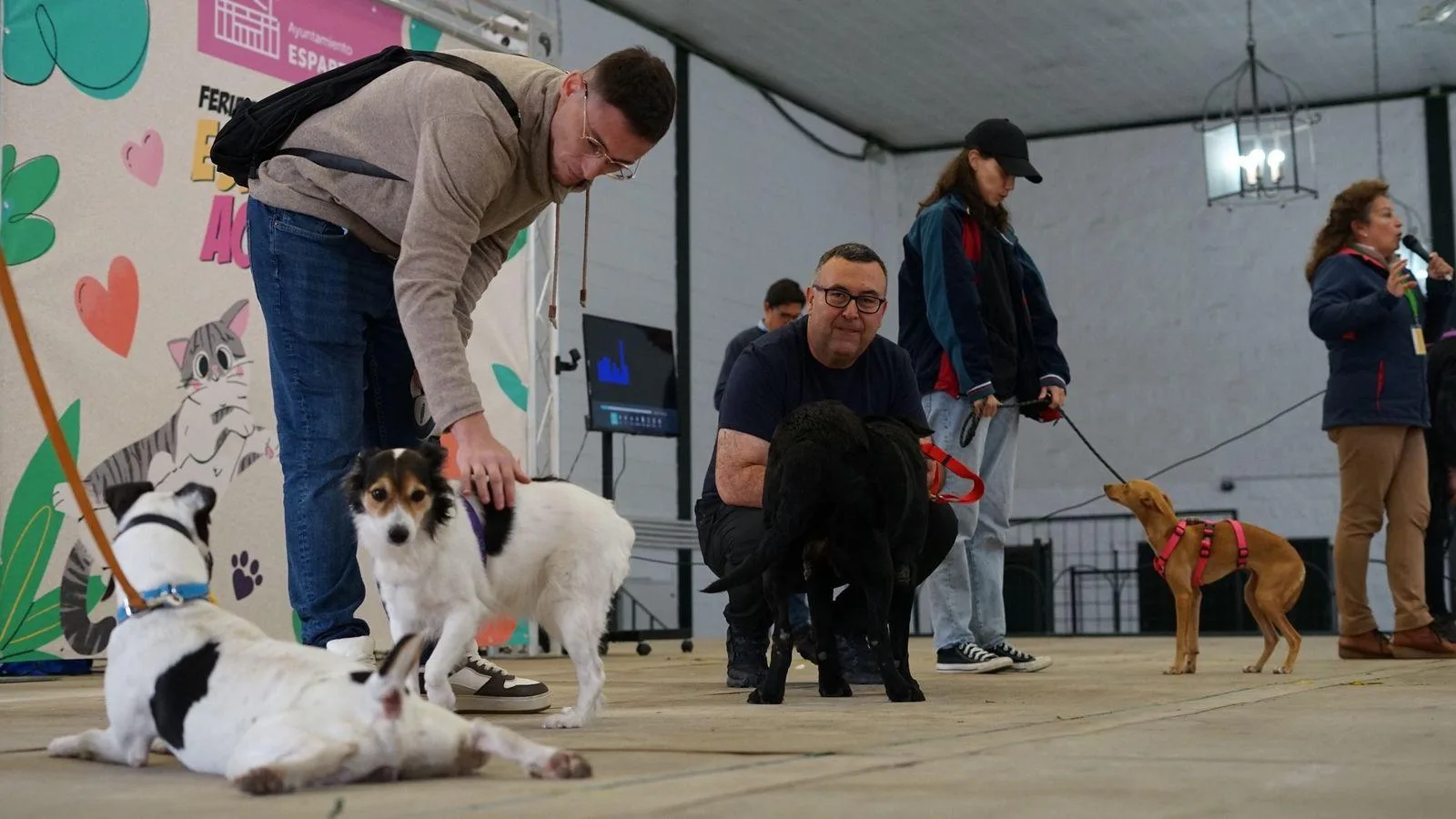 Castellón organiza la IV Jornada de Adopción Responsable para promover el bienestar animal