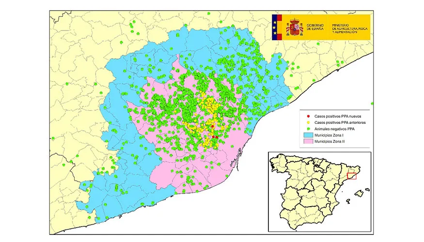 Cataluña identifica un nuevo brote de peste porcina africana en jabalíes dentro de zona restringida