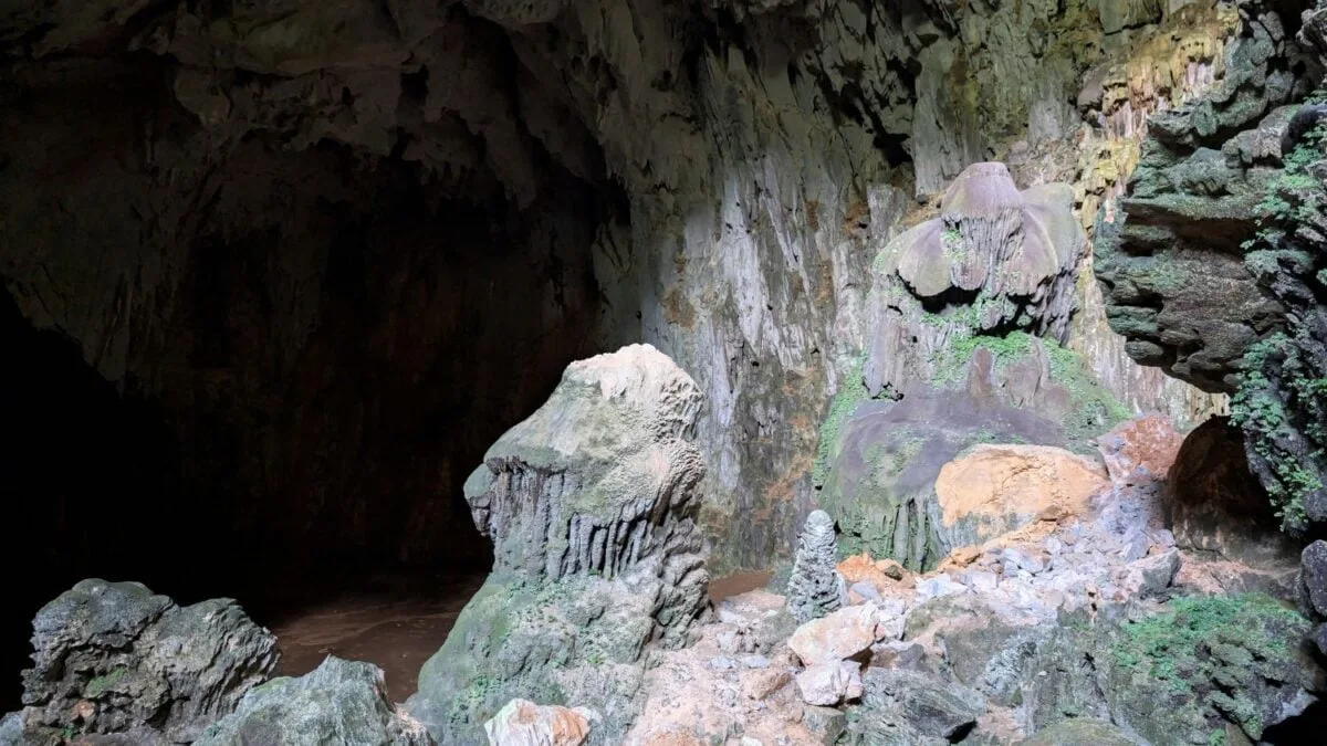 Descubren huellas de dinosaurios en el techo de una cueva profunda en Francia