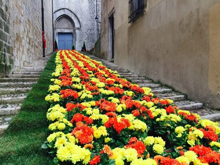 Girona celebra la 71ª edición de Temps de Flors con más arte floral y espacios inéditos