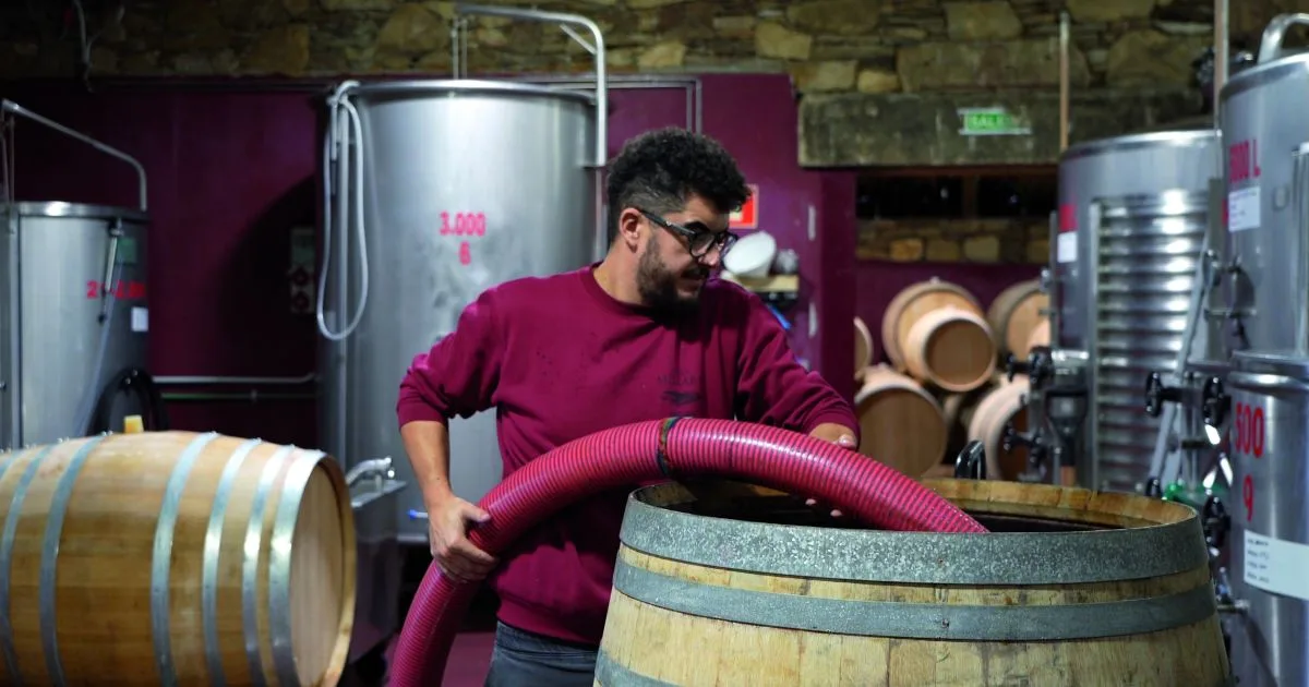 Iván Olmedo impulsa la singularidad de los vinos de Ribeira Sacra desde Finca Míllara
