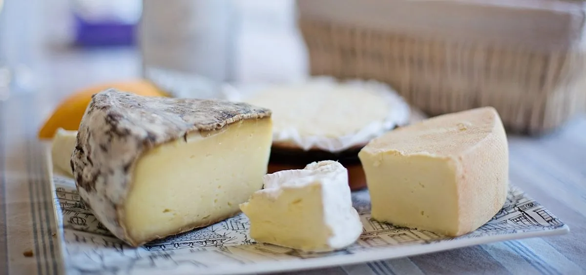 La AESAN alerta por listeria en dos lotes de queso fresco de vaca marca Goya
