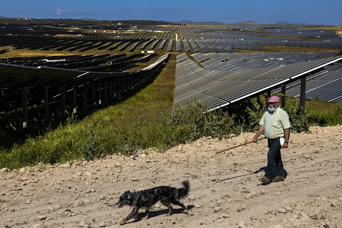 La expansión descontrolada de la fotovoltaica genera crisis en la red eléctrica española