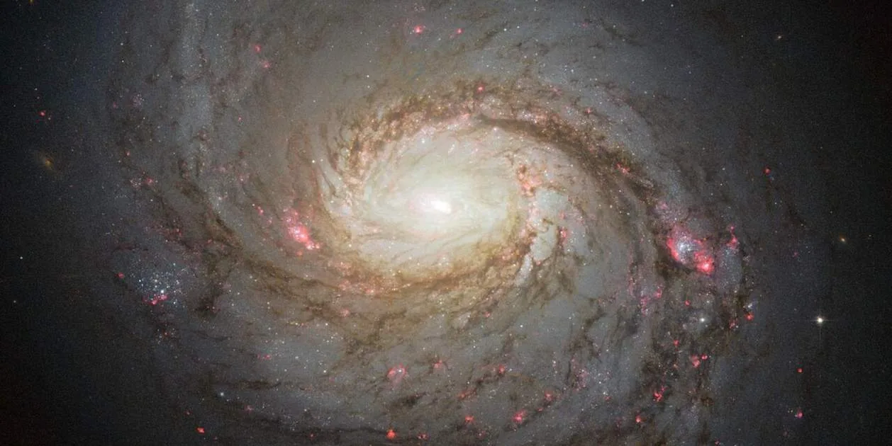 La Galaxia del Calamar y su agujero negro supermasivo revelados por el telescopio James Webb