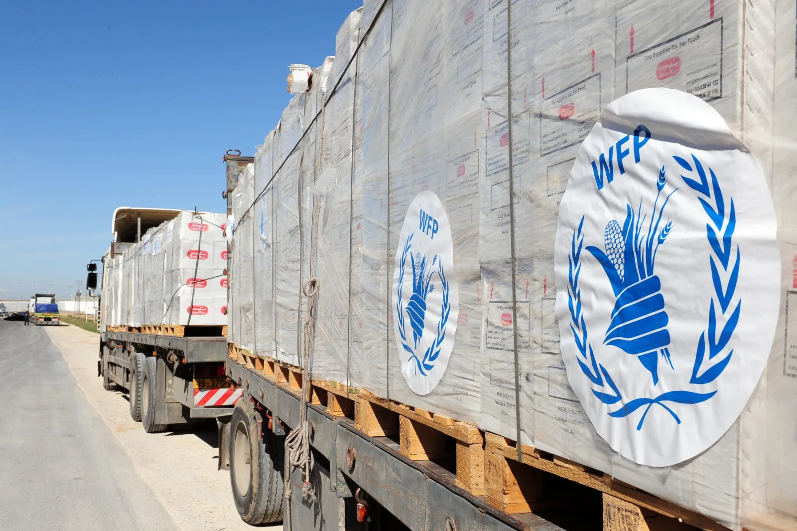 La ONU documenta violencia sexual en conflictos de Ucrania y territorios palestinos bajo control israelí