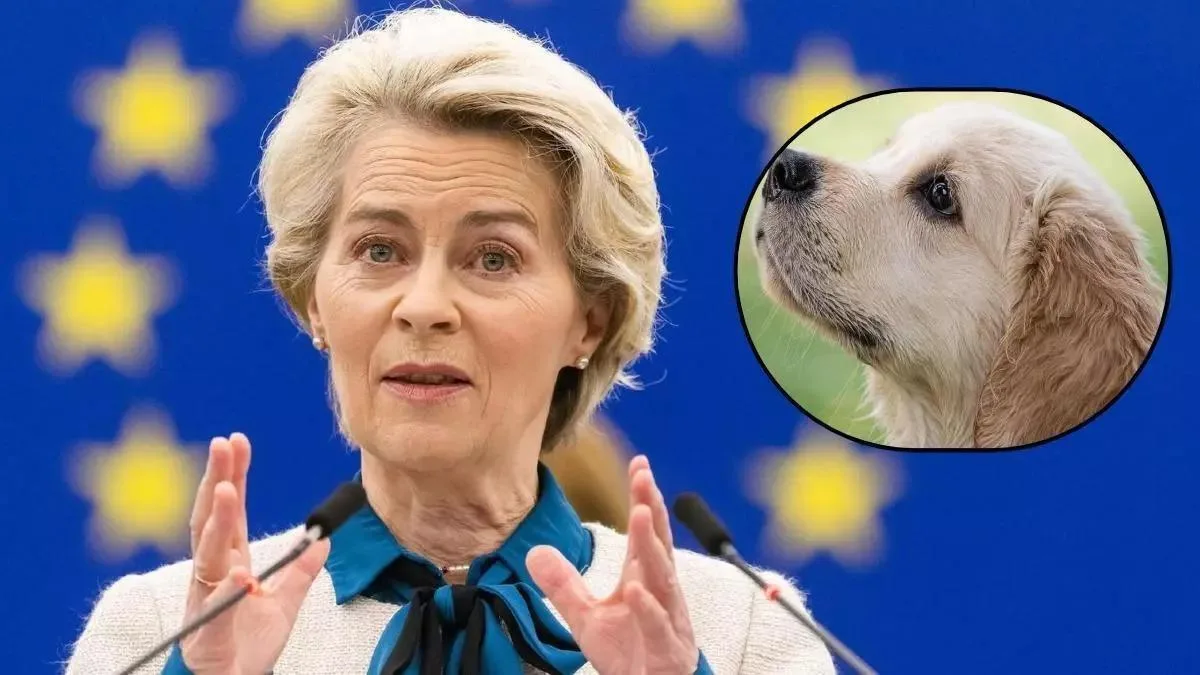 La UE obliga a perros y gatos a portar pasaporte europeo para viajar entre países