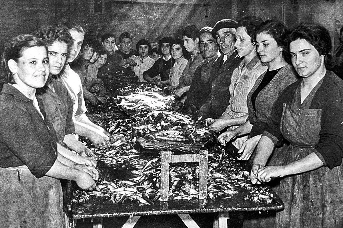 Las sobadoras de Santoña mantienen viva la tradición del bocarte, conocido como el 'jamón del mar