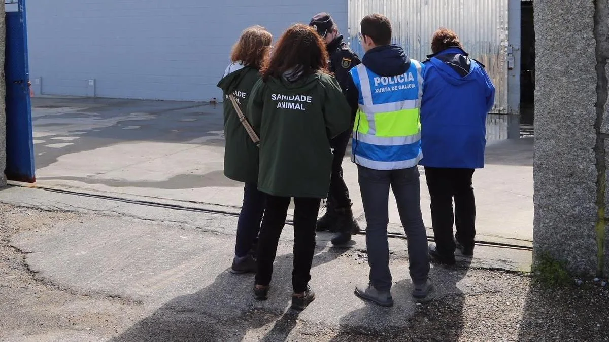 Portugal refuerza controles de bivalvos para potenciar sus exportaciones y presionar a Galicia