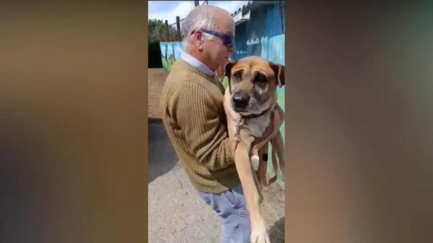 Rescatan a perra abandonada en el monte que no puede moverse por sus patas traseras