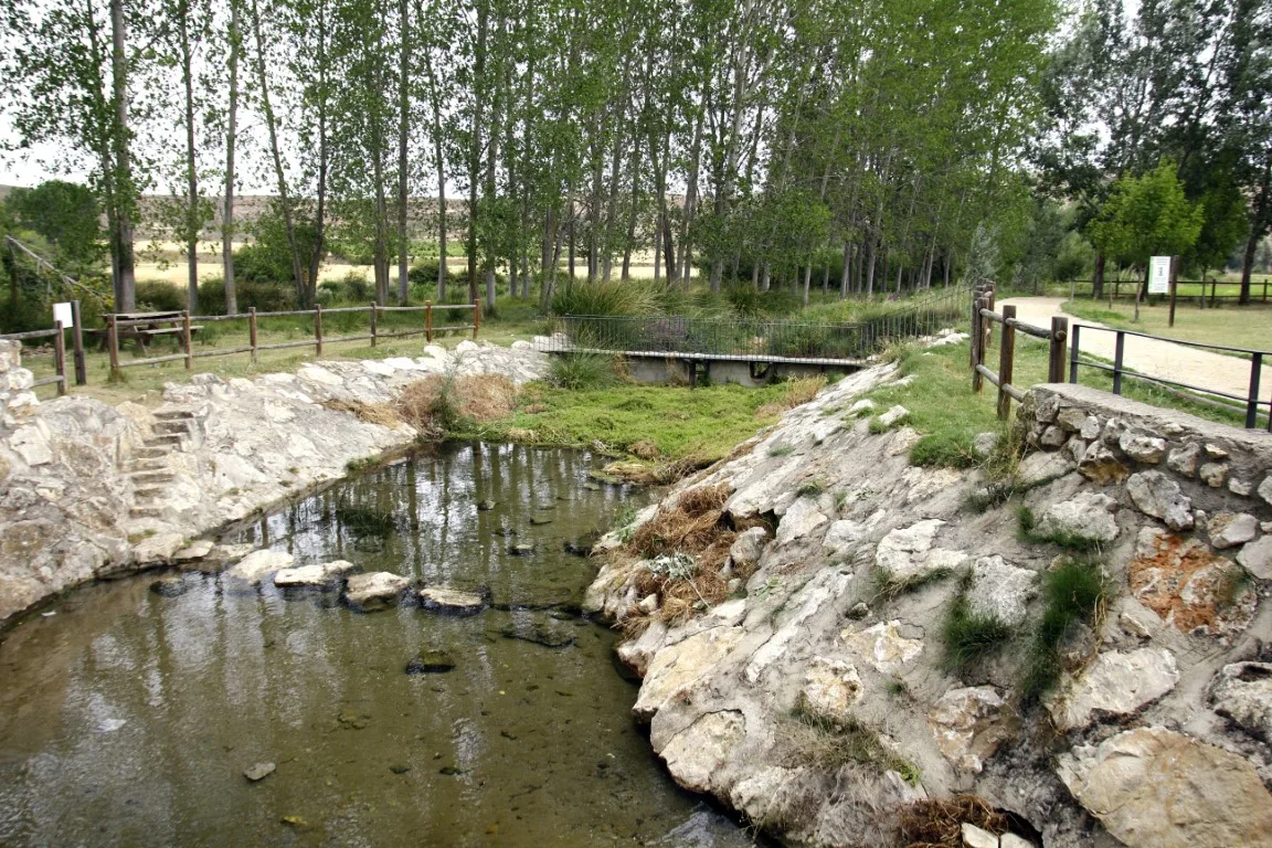 Talleres medioambientales integran naturaleza y enoturismo en Hoces del Río Riaza