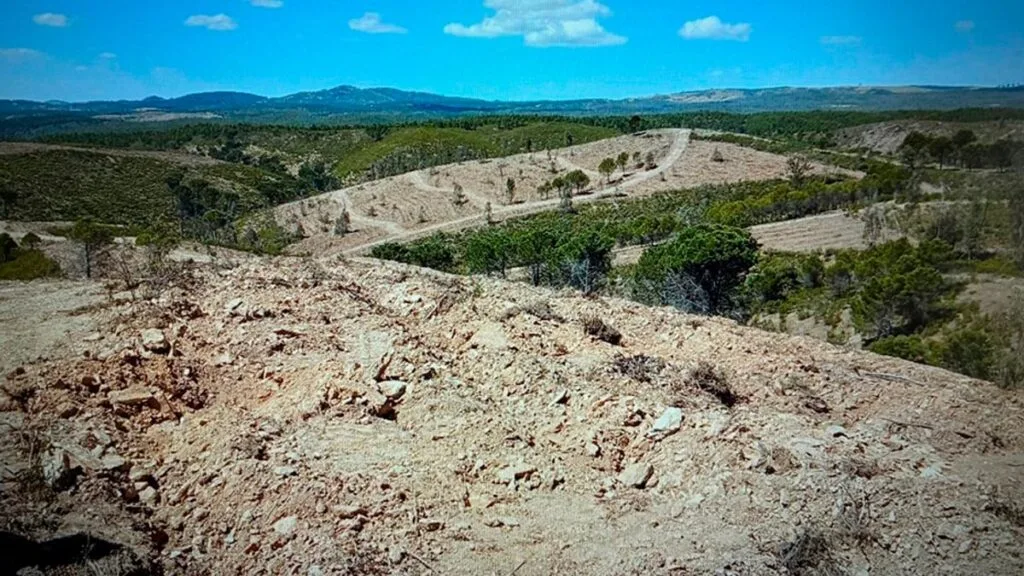 Andalucía lidera proyecto conjunto para restaurar zonas afectadas por incendio en Almonaster