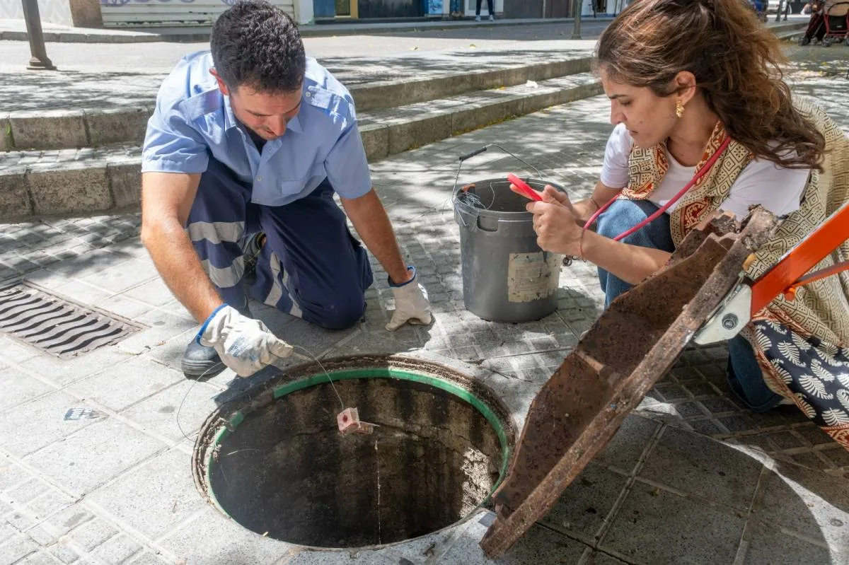 Cádiz refuerza el control contra plagas en el barrio de La Laguna para evitar brotes