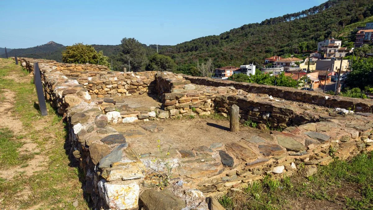 Cerdanyola celebra las Jornadas Europeas de Arqueología con restricciones por la peste porcina