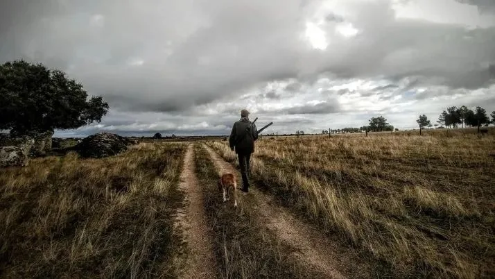 Conflicto por disparos de caza genera preocupación en zona periurbana entre Salamanca y Villares