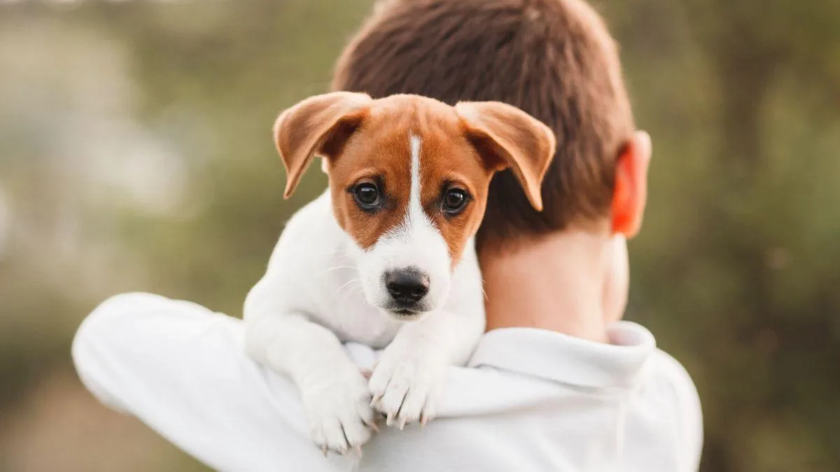 Crecer con perros potencia la empatía en la infancia y afecta la personalidad adulta