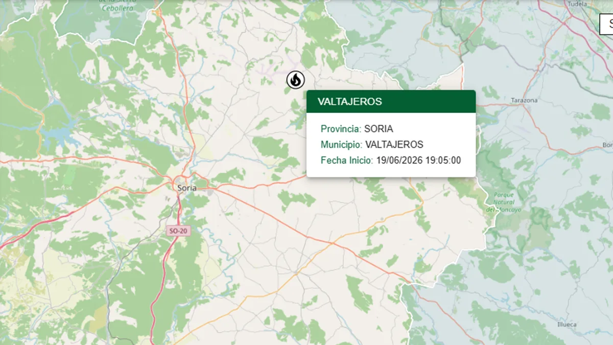 Dos incendios forestales sofocados en Soria, uno por posible impacto de rayo