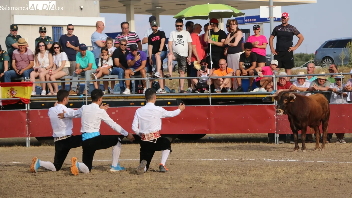 Fiestas de San Pedro en Villar de Peralonso combinan tradición taurina y actividades solidarias