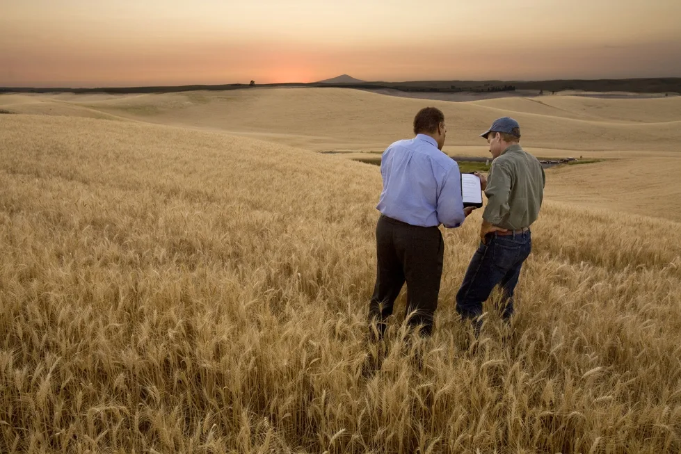 La gestión del carbono se revela como clave para la competitividad del campo español