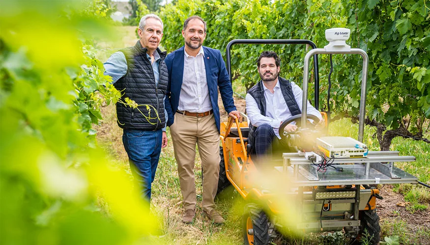 Nuevas tecnologías con inteligencia artificial predicen la producción de viñedos con meses de antelación