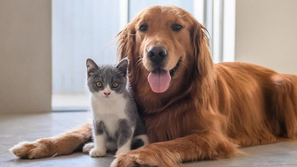 Unión Europea refuerza normas sanitarias y de control para viajes y venta de mascotas