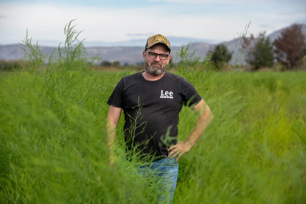 Carlos Camañes y su esparraguine, un lujo agrícola desde Alicante