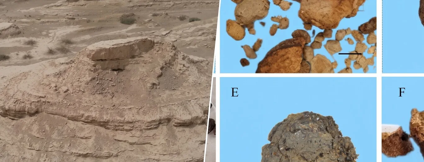 Descubren que hace 4,000 años había bosques en el desierto más árido del noroeste chino