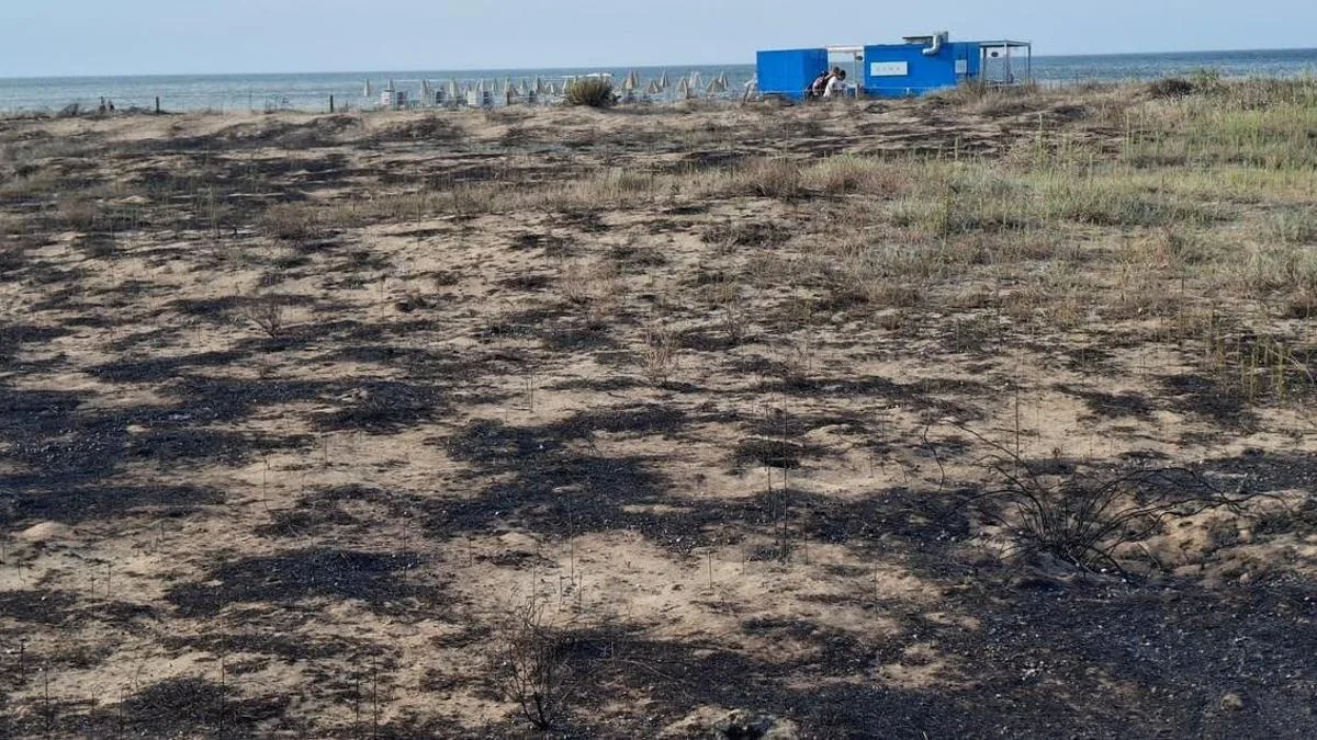 Incendio en Dénia obliga a desalojar playa y afecta tramo de dunas en Raset