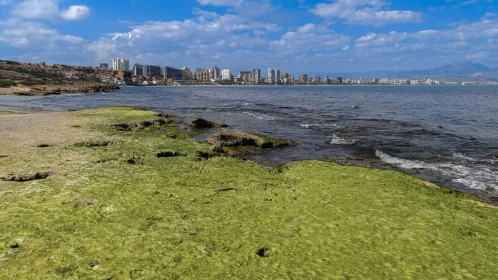 Nueva base de guardacostas refuerza vigilancia en la Reserva Marina Natural de Irta