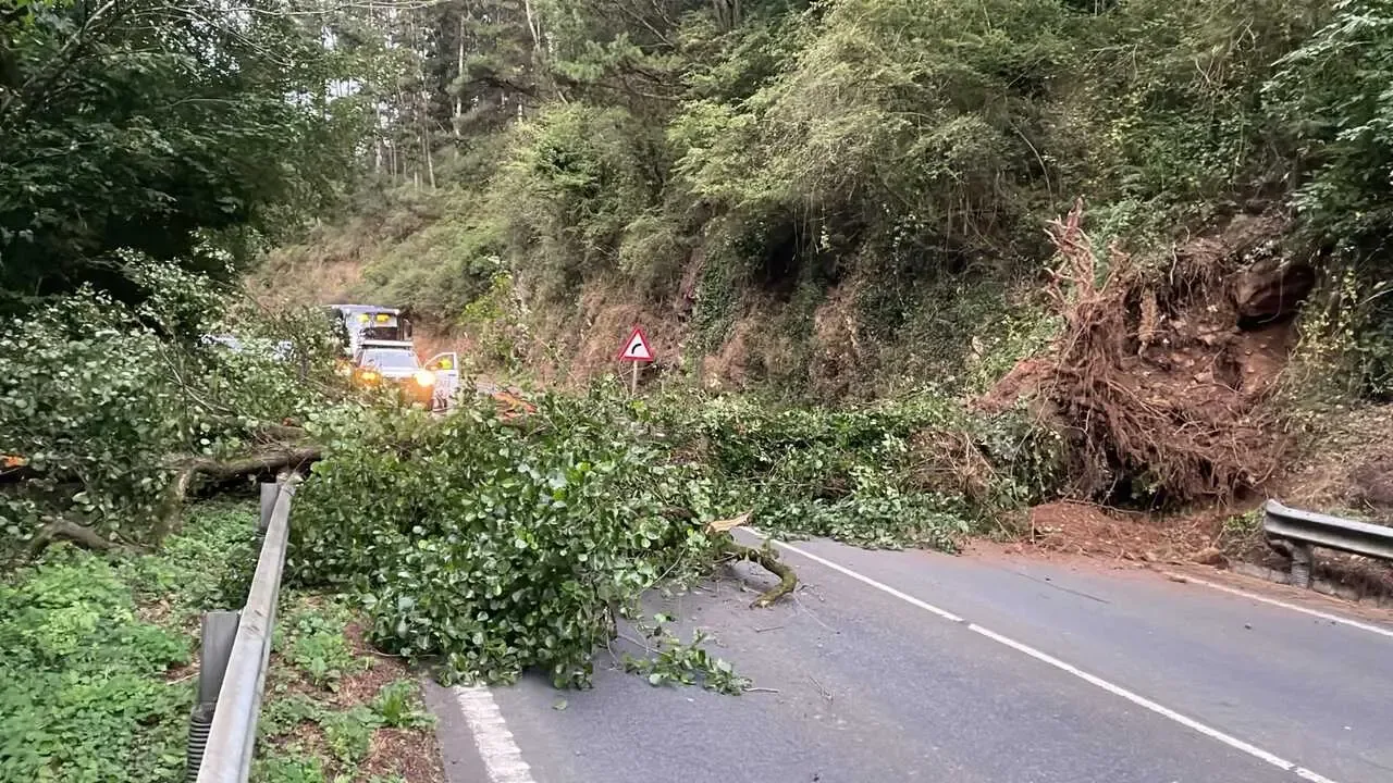 Un árbol bloquea la carretera AS-15 en Argancinas y genera alerta por su estado