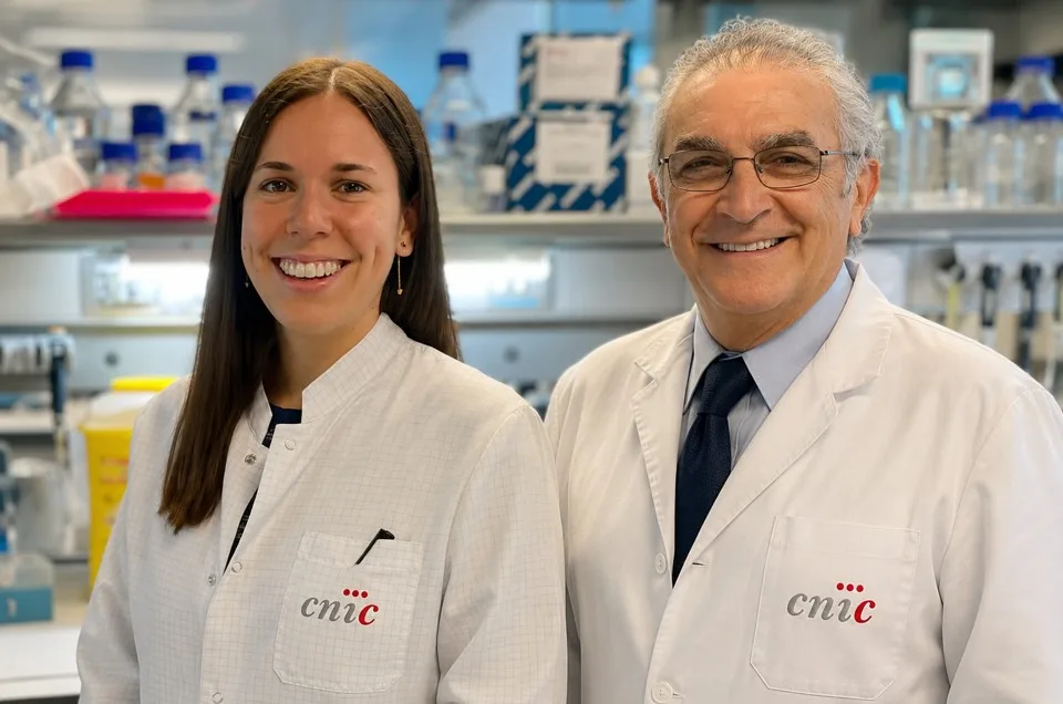 Una molécula natural ofrece una nueva alternativa para prevenir arritmias hereditarias graves